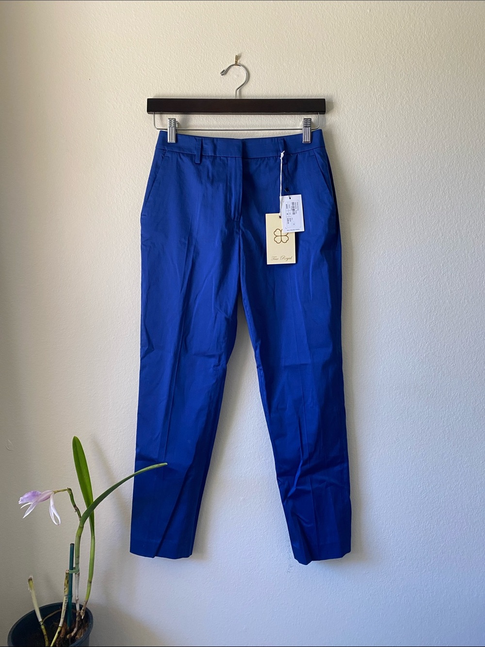 Women's Cobalt Blue Chino Pants - Tailored Mid-Rise